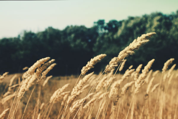 让工作更顺心的ddos压力测试平台